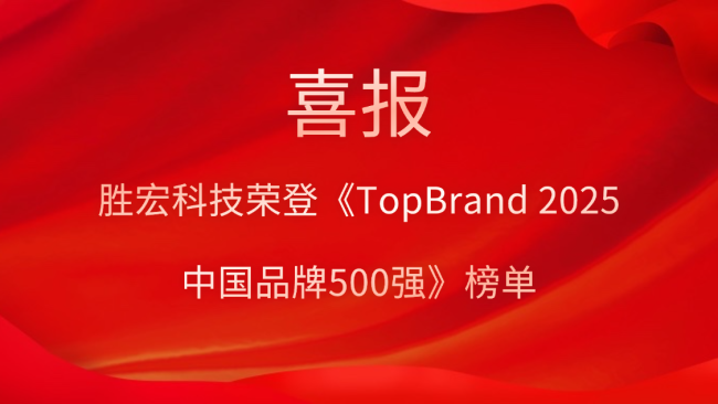 永利VIP科技登榜《TopBrand 2025中国品牌500强》榜单